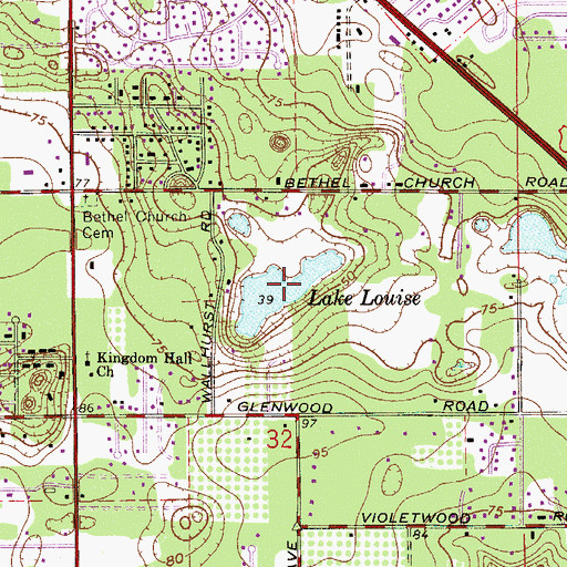 Topographic Map of Lake Louise, FL