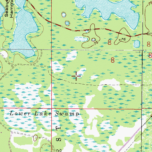 Topographic Map of Lower Lake Swamp, FL
