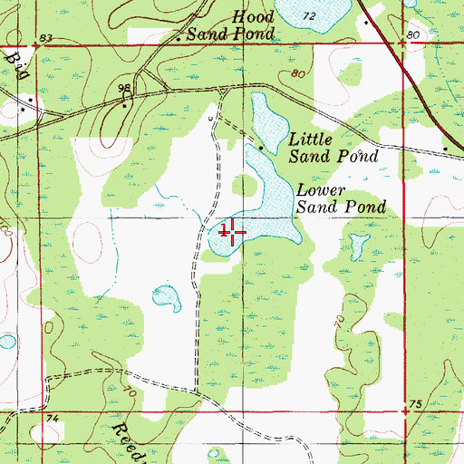 Topographic Map of Lower Sand Pond, FL