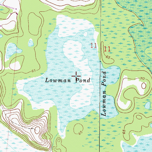 Topographic Map of Lowman Pond, FL