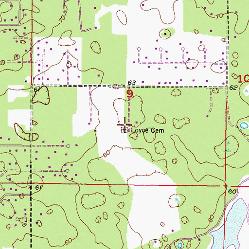 Topographic Map of Loyce Cemetery, FL