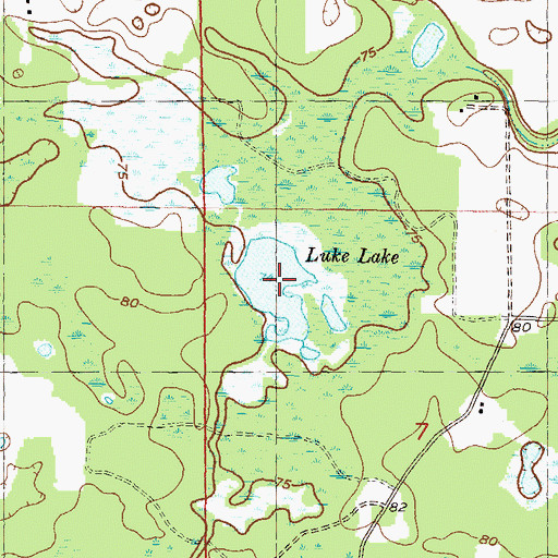 Topographic Map of Luke Lake, FL