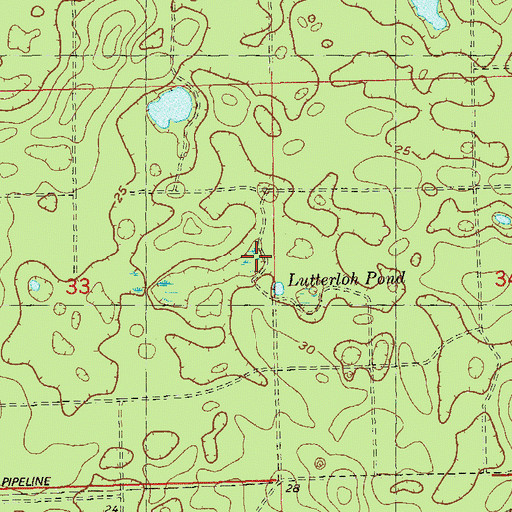 Topographic Map of Lutterloh Pond, FL