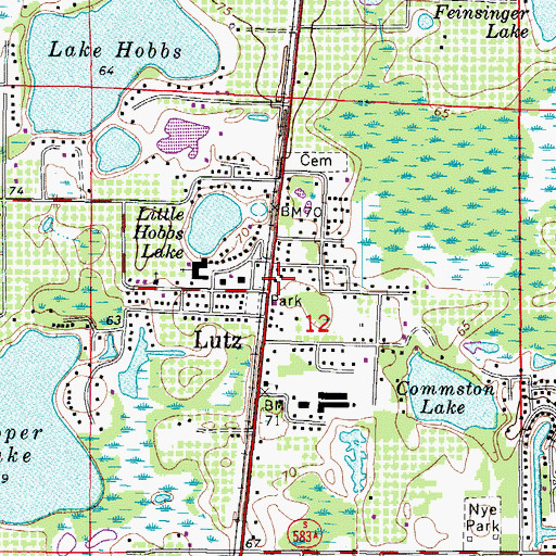 Topographic Map of Lutz, FL