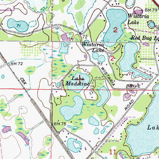 Topographic Map of Lake Madeline, FL