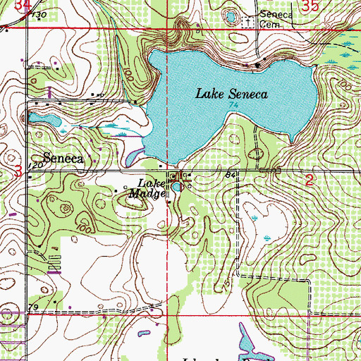 Topographic Map of Lake Madge, FL
