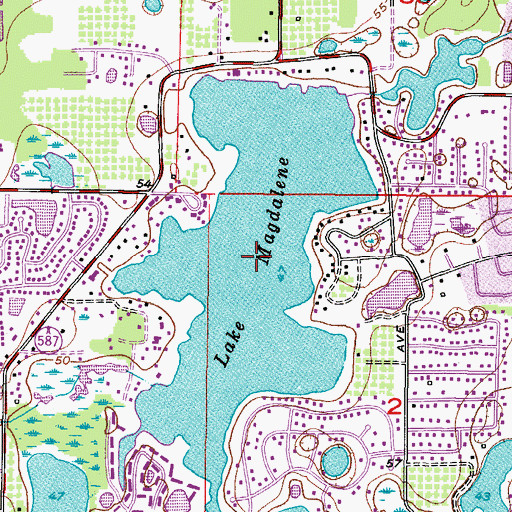 Topographic Map of Lake Magdalene, FL