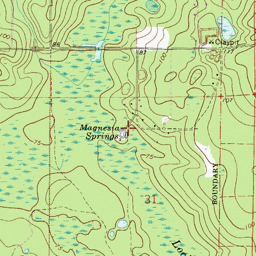 Topographic Map of Magnesia Springs, FL