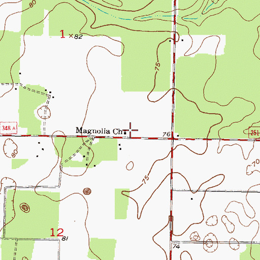 Topographic Map of Magnolia Church, FL