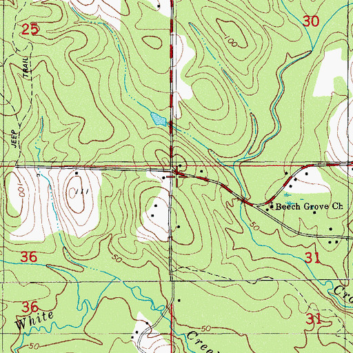 Topographic Map of Magnolia Church, FL