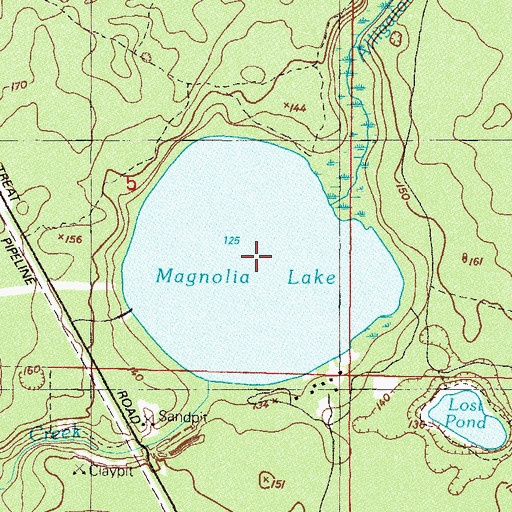 Topographic Map of Magnolia Lake, FL