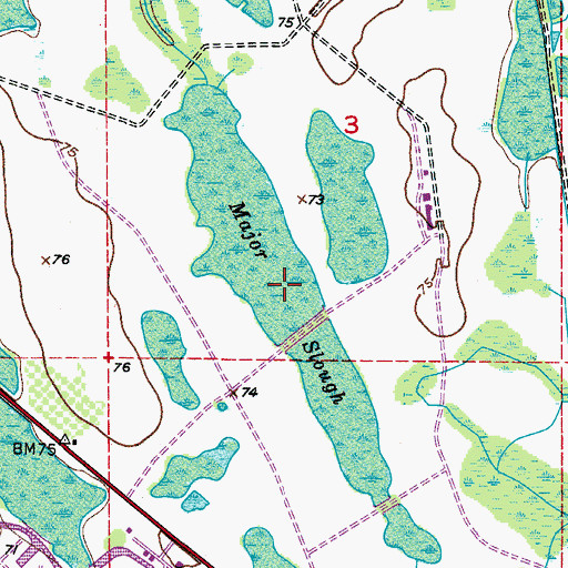 Topographic Map of Major Slough, FL