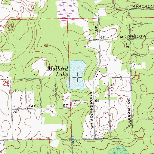 Topographic Map of Mallard Lake, FL