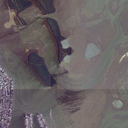 Aerial/Satellite Image of Malone Point, FL