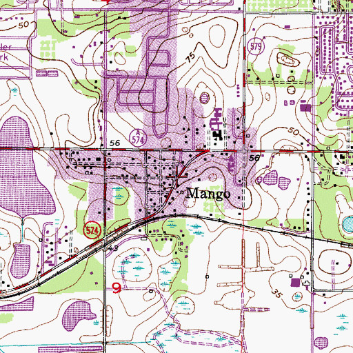 Topographic Map of Mango, FL