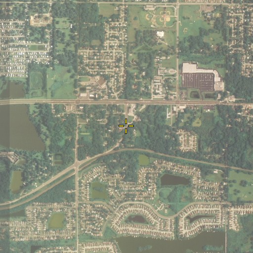 Aerial/Satellite Image of Mango, FL