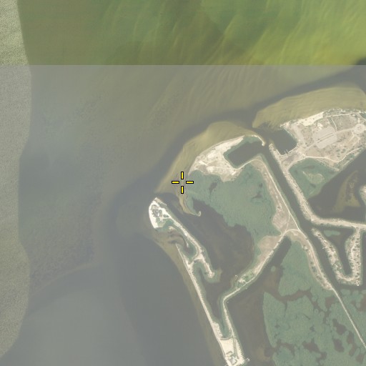 Aerial/Satellite Image of Mangrove Point, FL