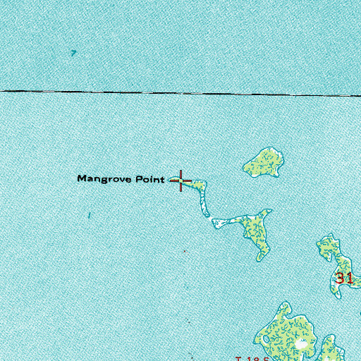 Topographic Map of Mangrove Point, FL