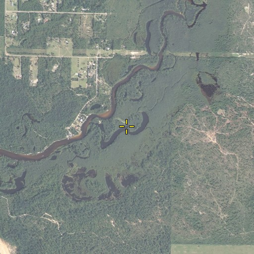 Aerial/Satellite Image of Manning Basin, FL