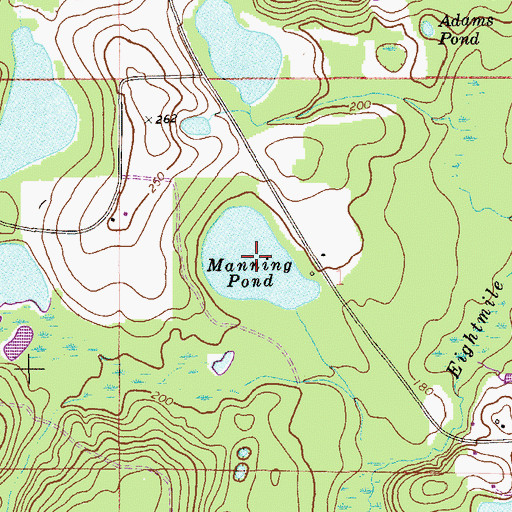 Topographic Map of Manning Pond, FL