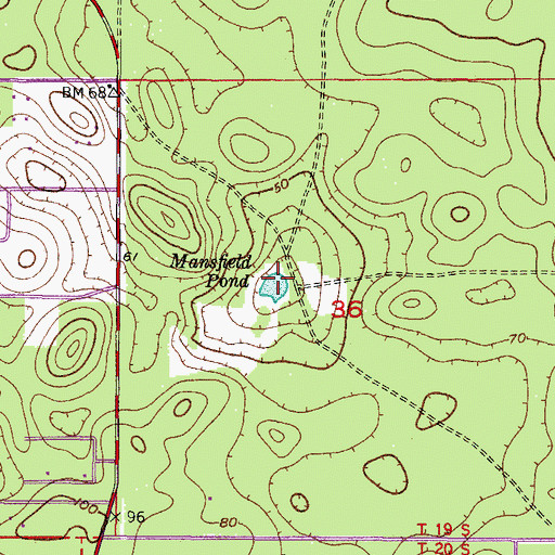 Topographic Map of Mansfield Pond, FL