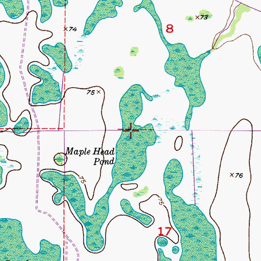 Topographic Map of Maple Head Pond, FL