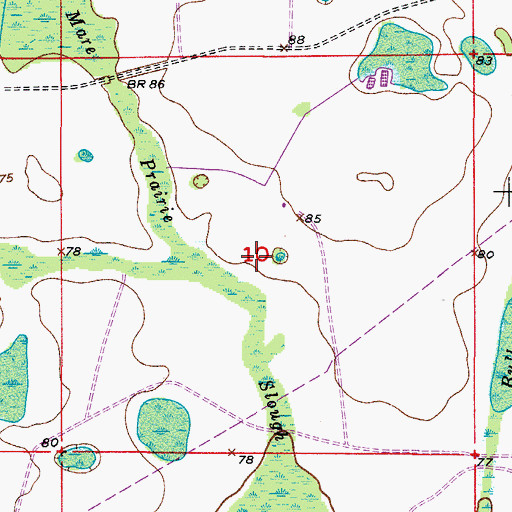 Topographic Map of Mare Prairie, FL