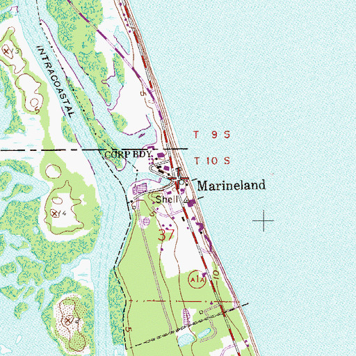 Topographic Map of Marineland, FL