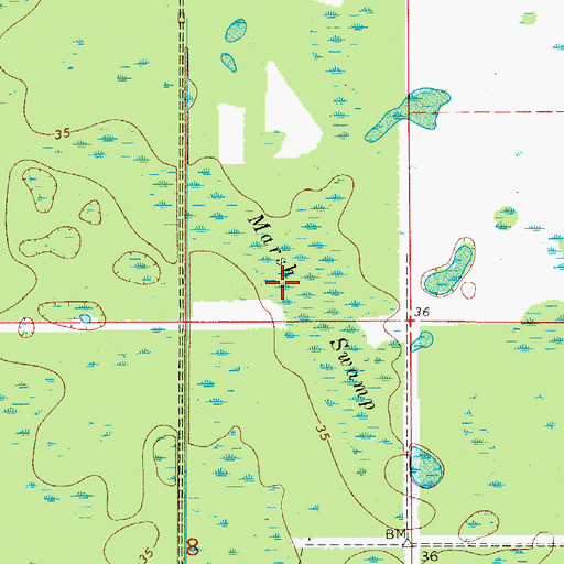 Topographic Map of Marsh Swamp, FL