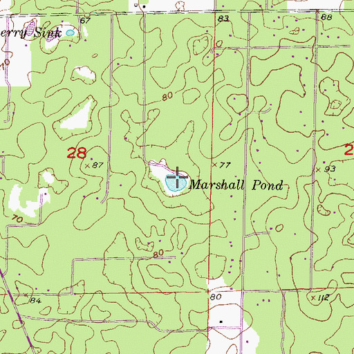 Topographic Map of Marshall Pond, FL