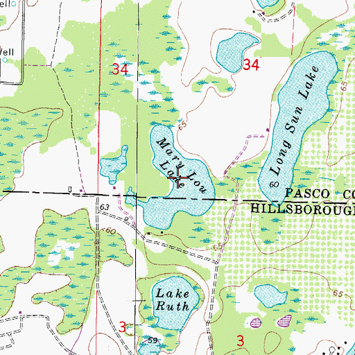 Topographic Map of Mary Lou Lake, FL