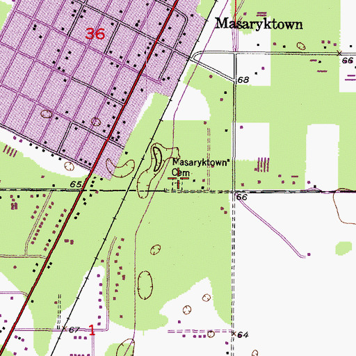 Topographic Map of Masaryktown Cemetery, FL