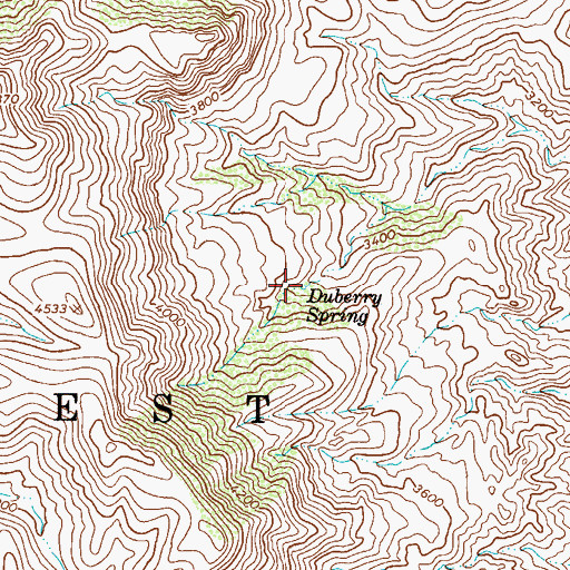Topographic Map of Duberry Spring, AZ