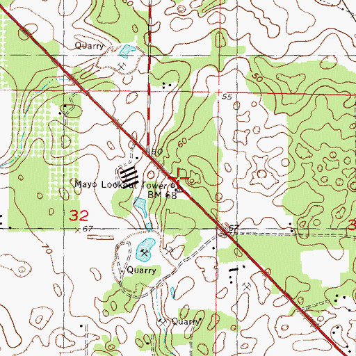 Topographic Map of Mayo Lookout Tower, FL