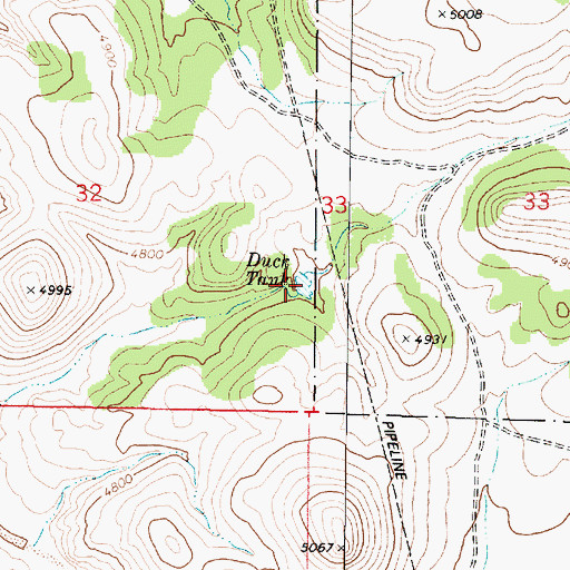 Topographic Map of Duck Tank, AZ