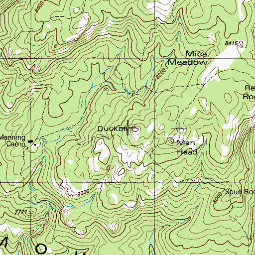 Topographic Map of Duckbill, AZ