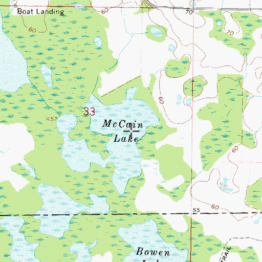 Topographic Map of McCain Lake, FL