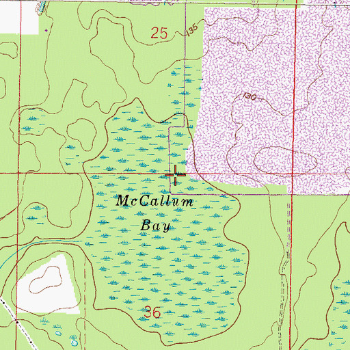Topographic Map of McCallum Bay, FL