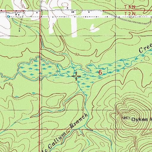 Topographic Map of McCallum Branch, FL