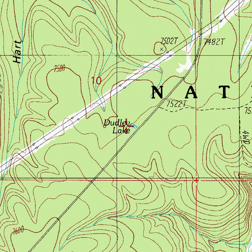 Topographic Map of Dudley Lake, AZ