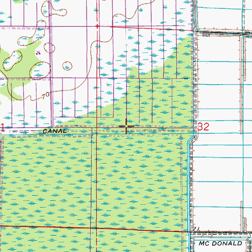 Topographic Map of McDonald Canal, FL
