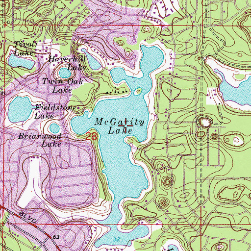 Topographic Map of McGarity Lake, FL