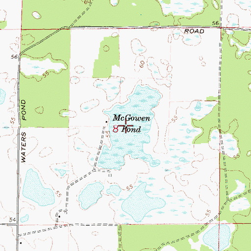 Topographic Map of McGowen Pond, FL