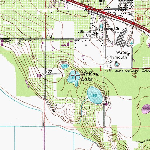 Topographic Map of McKay Lake, FL