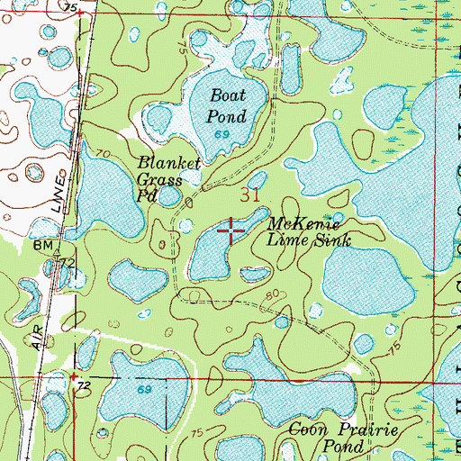 Topographic Map of McKenie Lime Sink, FL