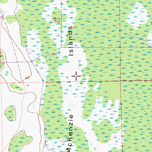 Topographic Map of McKenzie Islands, FL