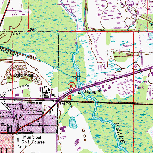 Topographic Map of McKinney Branch, FL