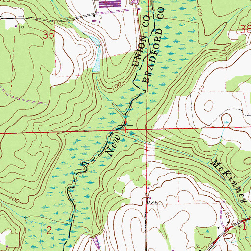 Topographic Map of McKinney Branch, FL