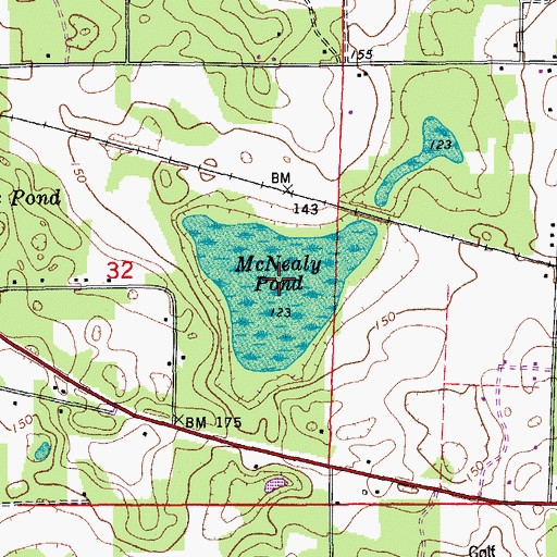 Topographic Map of McNealy Pond, FL