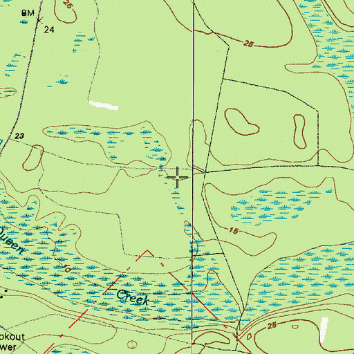 Topographic Map of McQueen Swamp, FL